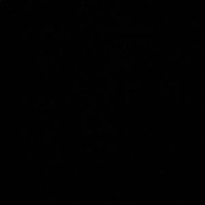 Meet your Posher, Mae